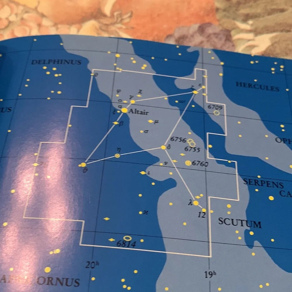 National Audobon Society Pocket Guide Constellations stargazing galaxy book kids